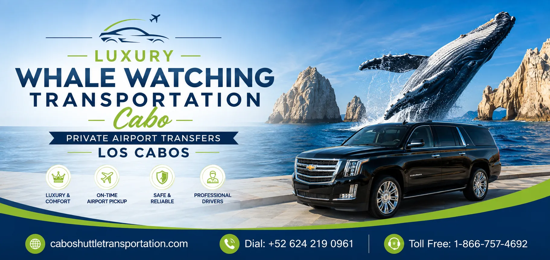 Luxury Whale Watching Transportation Cabo Private Airport Transfers Los Cabos_resultado